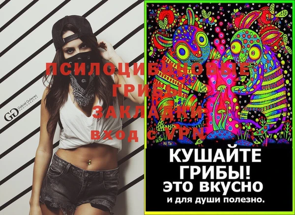 МДПВ Абдулино