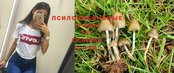 спиды Абаза