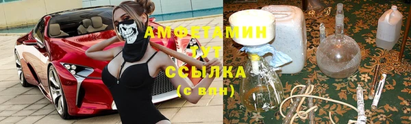 мет Алексин