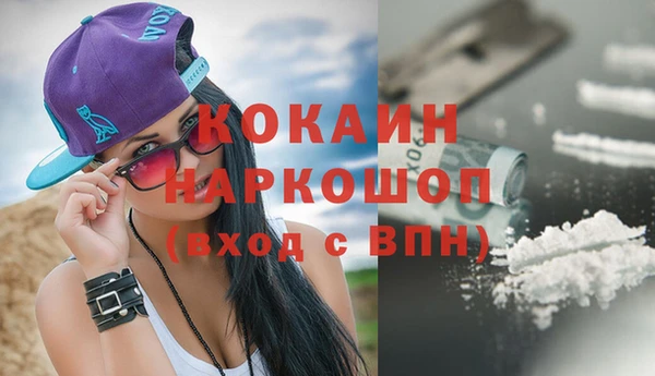 шишки Абинск