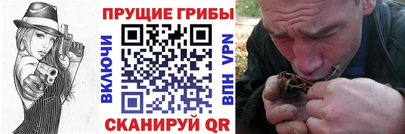 мега маркетплейс  где найти наркотики  нарко площадка наркотические препараты  Псилоцибиновые грибы Cubensis  Советский 