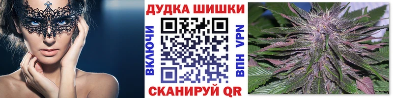 Каннабис ГИДРОПОН наркошоп Советский
